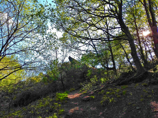 Chambre au Loup