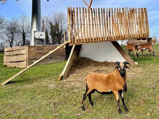 Ferme - pédagogique - Ploërmel - Destination - Brocéliande