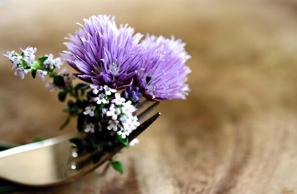 chives-6335251_1280
