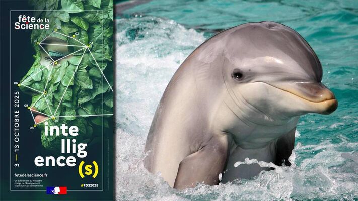 conference-fds-quand-les-animaux-prennent-la-parole
