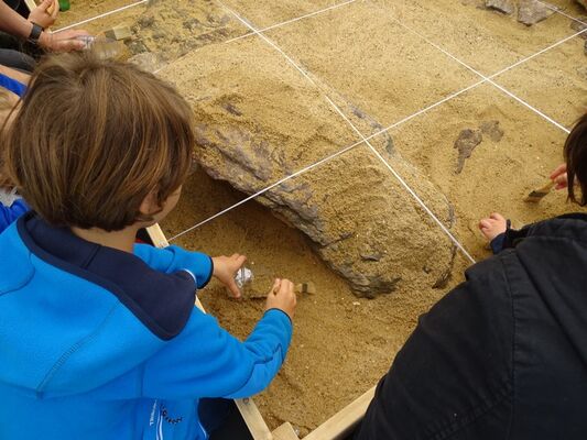 Atelier fouilles - Menhirs de Monteneuf - Broceliande