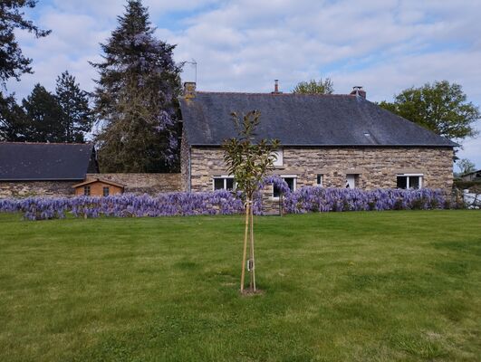 Maison côté jardin