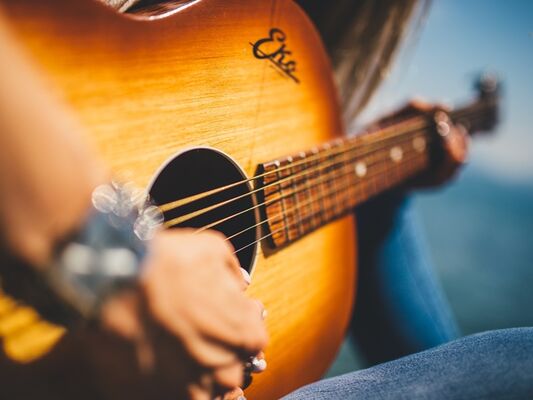 Concert Les Trubions