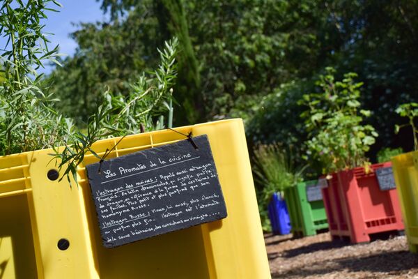 jardin du curé