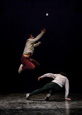 Spectacle - Influence - Compagnie - Les - Invendus - Mauron - Brocéliande
