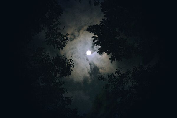 balade nocturne
