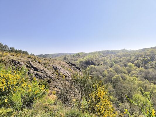 schiste rouge-paimpont-broceliande