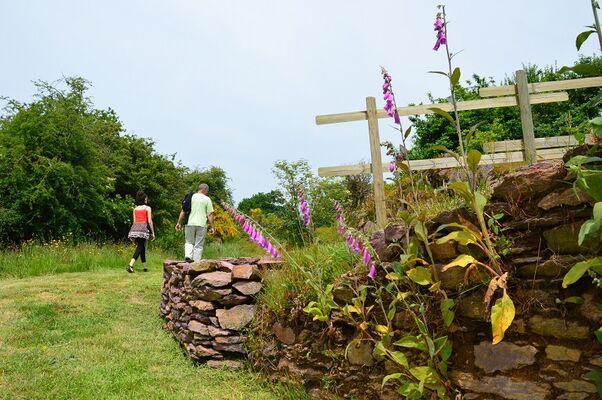 Domaine de Boutavent