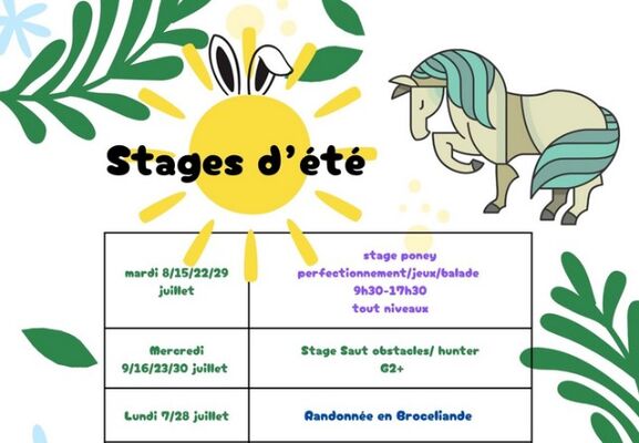 stage d'été écuries des quatre routes iffendic