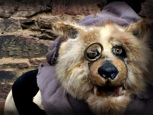 spectacle marionnettes-Coppelius-Comper