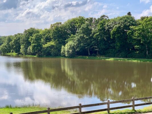 vue-sur-l-etang-maison-des-legendes-paimpont---2