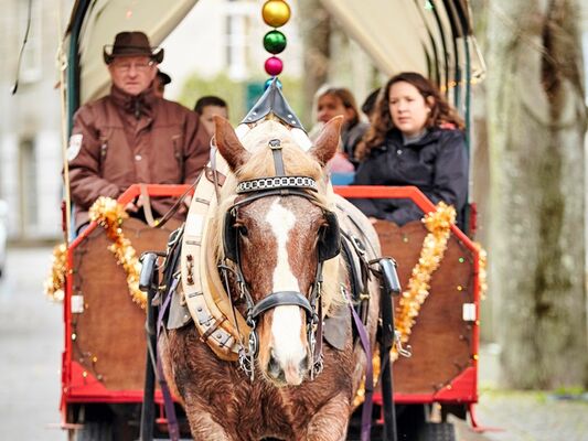 marché de Noël - Ploërmel - Brocéliande - Bretagne