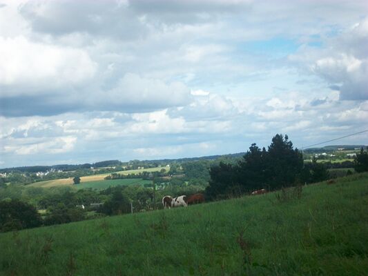 Roulotte-la-Houssaie - Sérent - Brocéliande