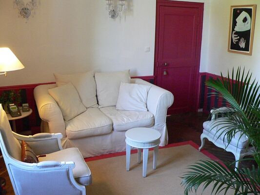Chateau du Pin_Salon