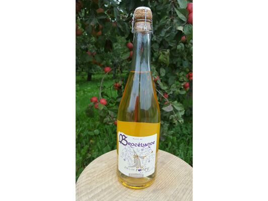 Cidre de Brocéliande. (1)