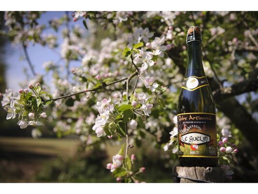 Cidre-Ruaudaie-Martin-Oust-Brocéliande