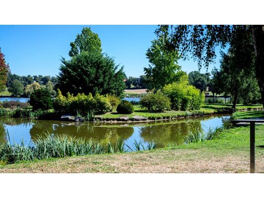 Etang - Copie