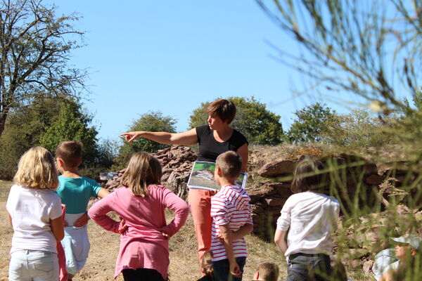 Domaine de Boutavent