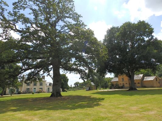 Le Logis du Chateau Pin