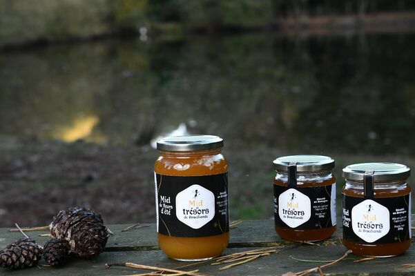 Miel et Trésors de Brocéliande_Miel_Paimpont