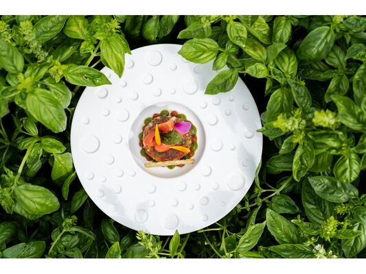 PlatEte20-243 - Copie