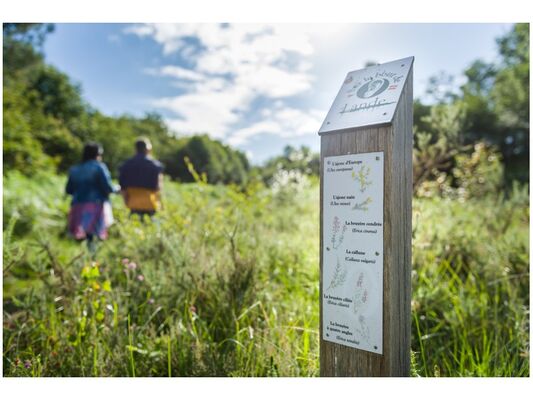 Sentier-bout-lande-Monteneuf