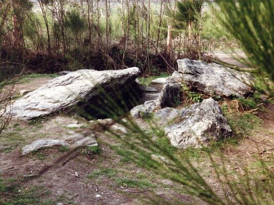 Tombeau du Géant - Campénéac - Brocéliande - Bretagne