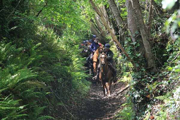sentier équestre