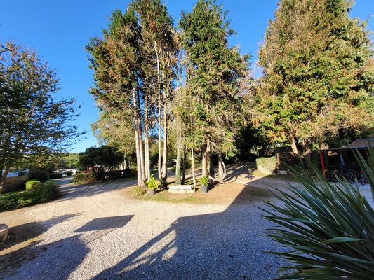 Camping - Cerisiers - Guillac - Josselin - Brocéliande - Morbihan - Bretagne