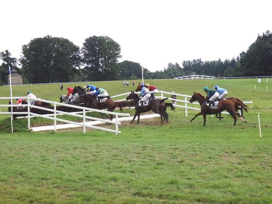 courses hippiques - Ploërmel - Brocéliande