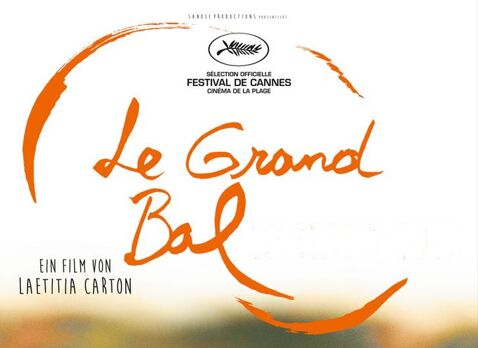 le grand bal laetitia carton médiathèque lagirafe