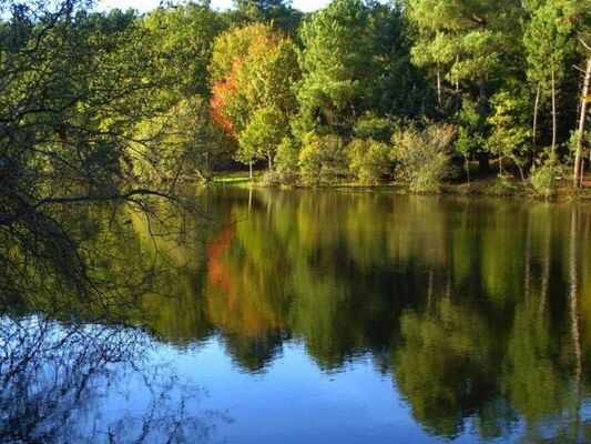 randonnée_contée_lindylou_Destination_Brocéliande
