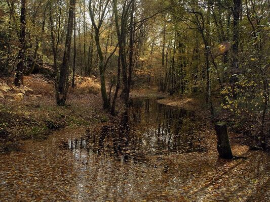 balade nature-le clerc et la sorciere