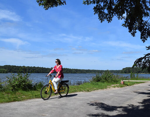 Brocéliande Bike _© OTBrocéliande