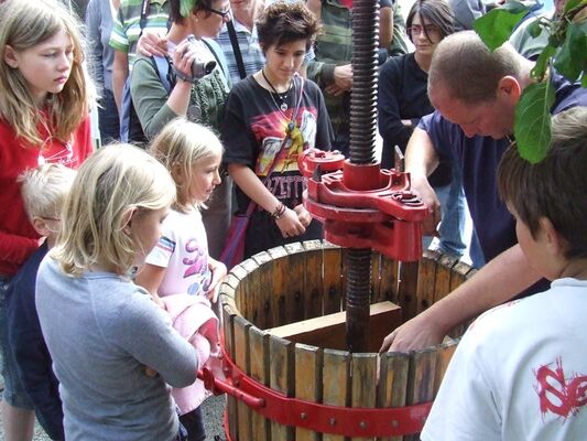 Camping-La-Vallée-du-Ninian-Taupont-Destination-Brocéliande