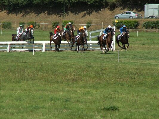 Courses hippiques