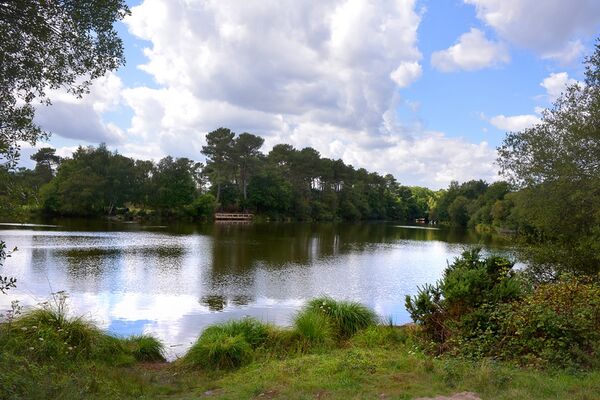 Etang_de_Trégu_Plélan le Grand