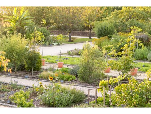 Jardin Botanique Emmanuel Berthier (2)
