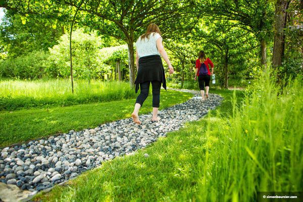 Les Jardins De Broceliande Breal Sous Montfort Destination Broceliande En Bretagne
