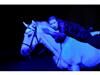 Theatre-equestre