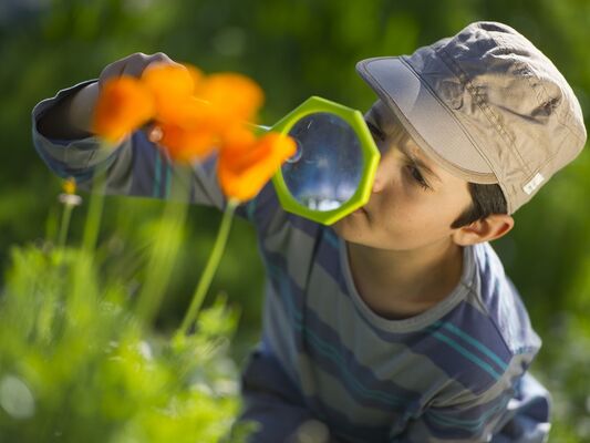 Enfant observant la nature avec une loupe