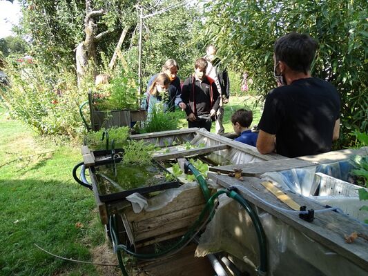 Atelier-jardin-Aquaponie-Concoret-Destination-Brocéliande-Bretagne