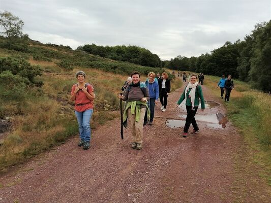 Qi-Gong-Marche-En-Brocéliande-Morbihan-Bretagne