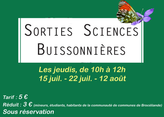 sciences buissonnières_Paimpont