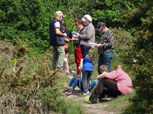 Conteur-eau-Concoret-Destination-Brocéliande-Bretagne