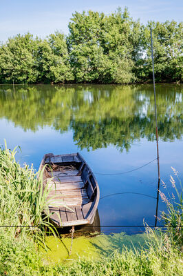 Bords de Loir - Rives du Loir en Anjou