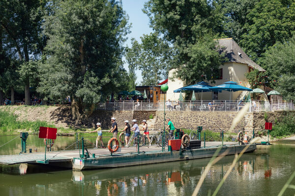 Bac de l'île Saint-Aubin - Angers