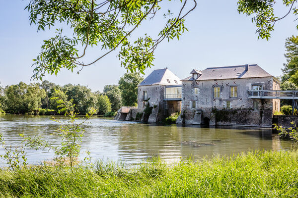 Bords du Loir à Villevêque - Rives du Loir en Anjou