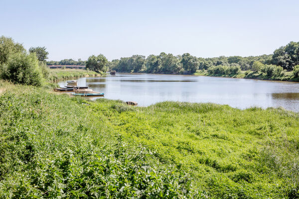 Bords de la Mayenne à Cantenay-Épinard