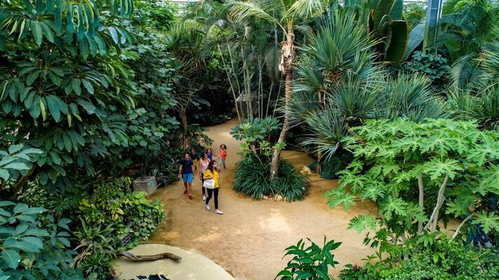 hd1-serre-tropicale-c-terrabotanica-1990103